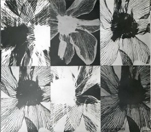 fleur rayogrammecompo 63_64 cr